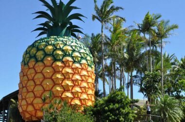 big-pineapple-redevelopment